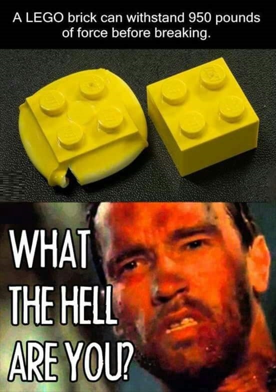 The hell Lego??