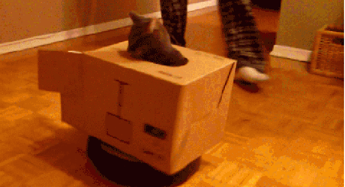 Roomba cat tank