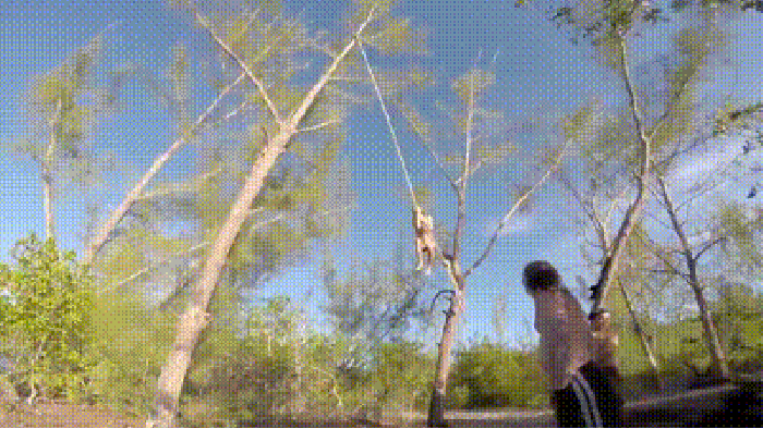Rope swing fail