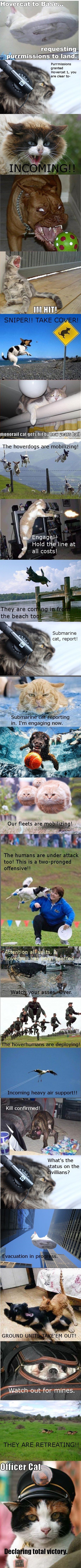 Hovercat to base