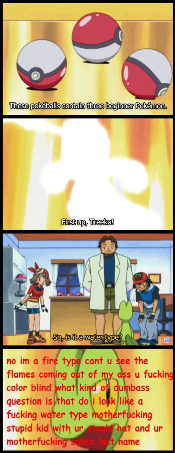 Ash asking stupid questions