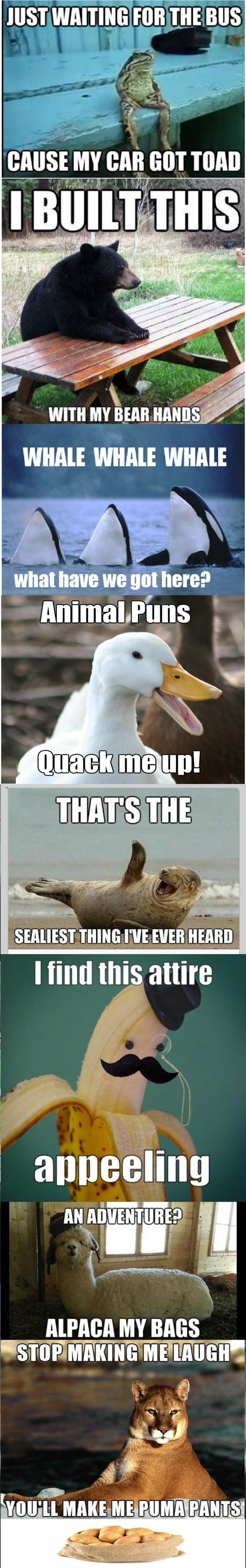 Heard you guys like puns