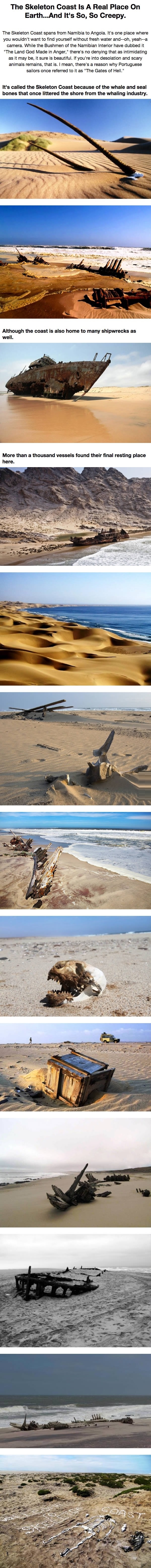 The skeleton coast