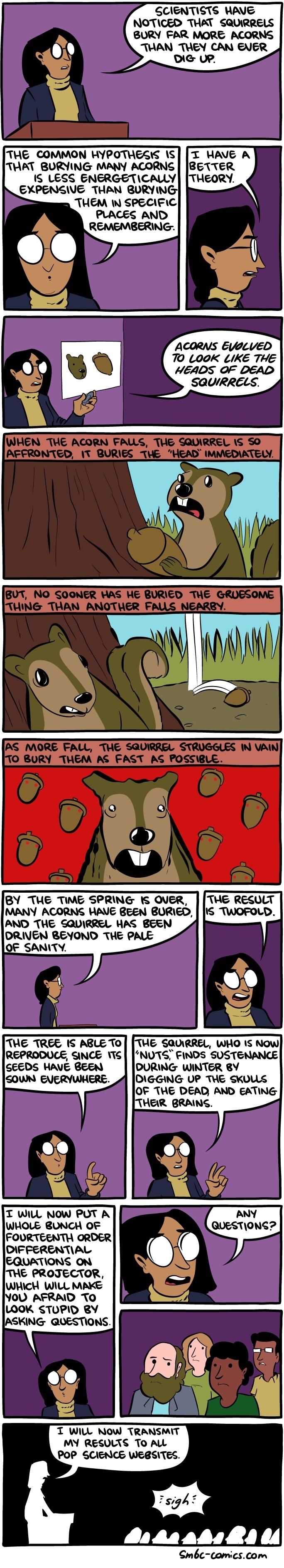 Crazy squirrels
