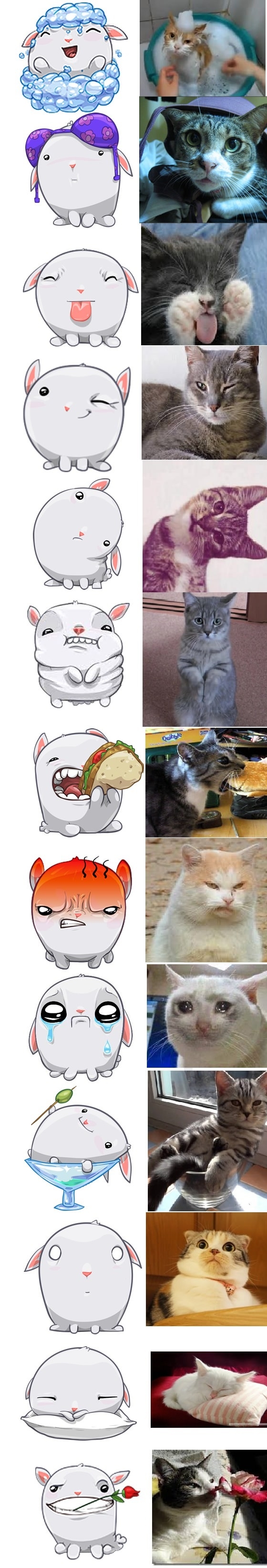 Fb stickers vs cats