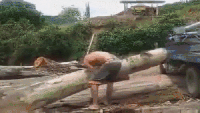 Strongest man alive