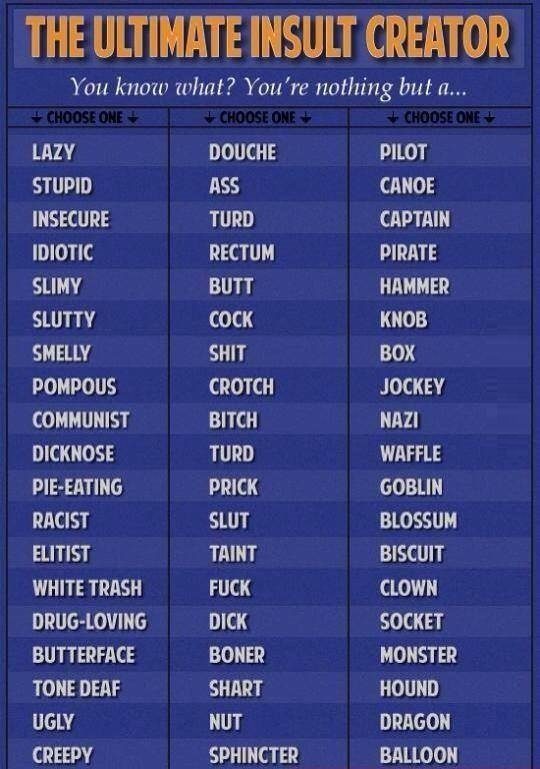 Ultimate insult creator