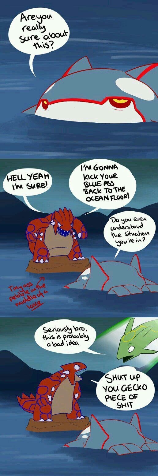 Groudon, just listen!