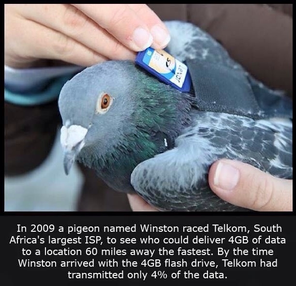 Welcome to South Africa