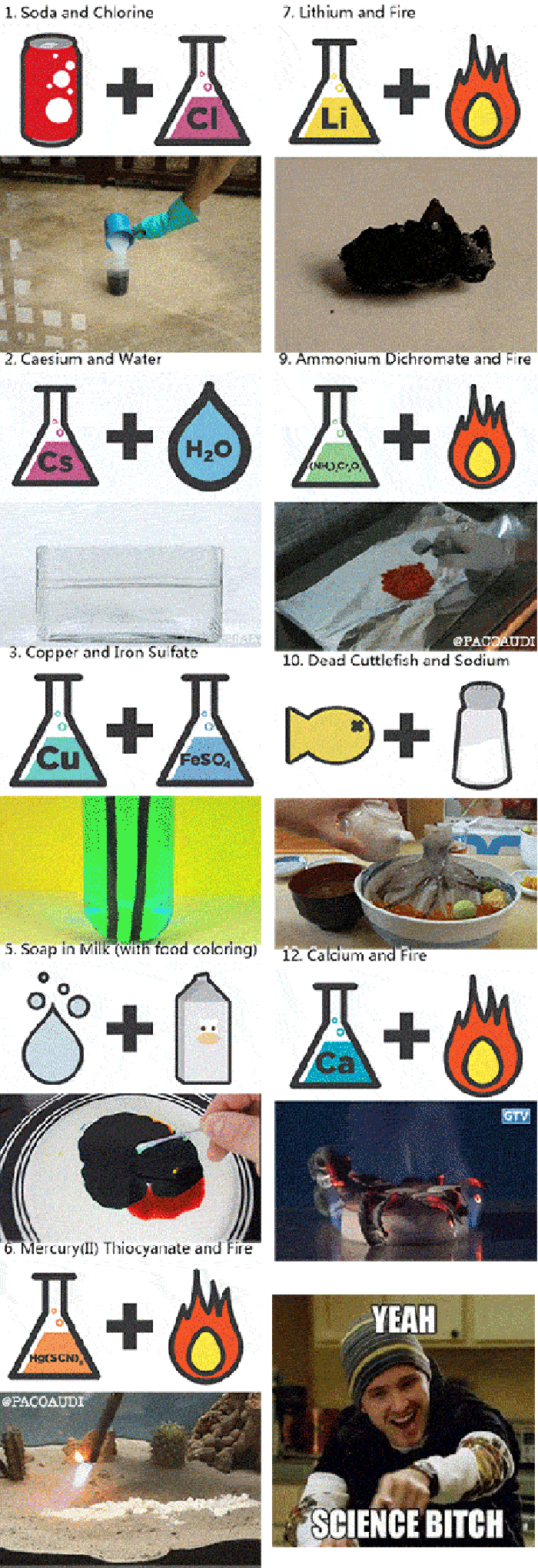 Science b*tch