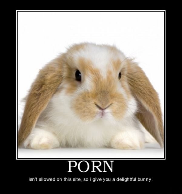 Not allowed here