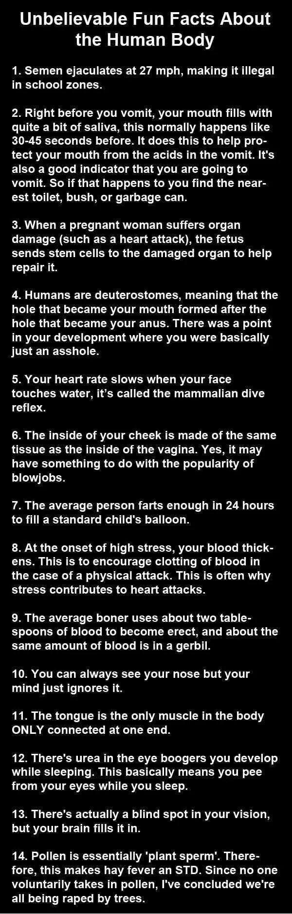 Human body facts