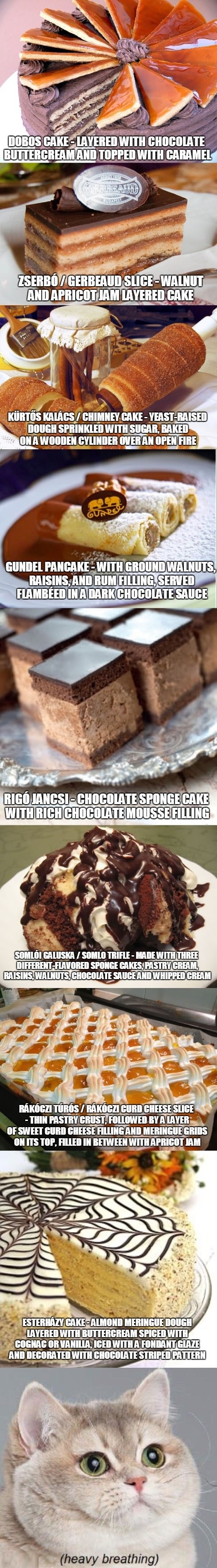 Hungarian desserts