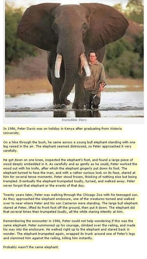 Incredible story