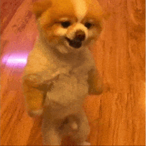 F**k you say to me?