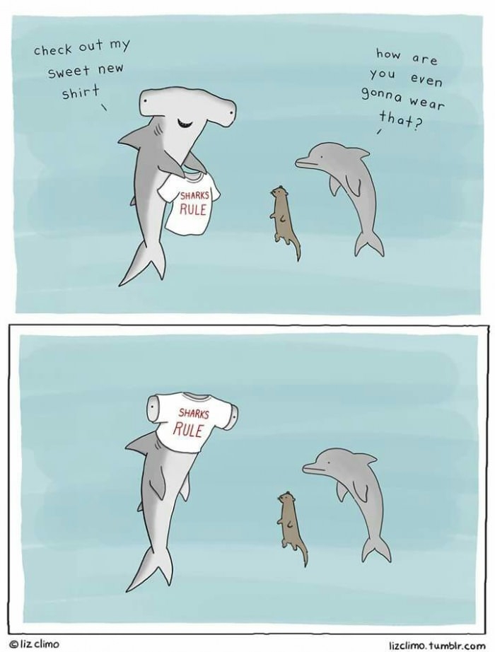 Sharks rule!