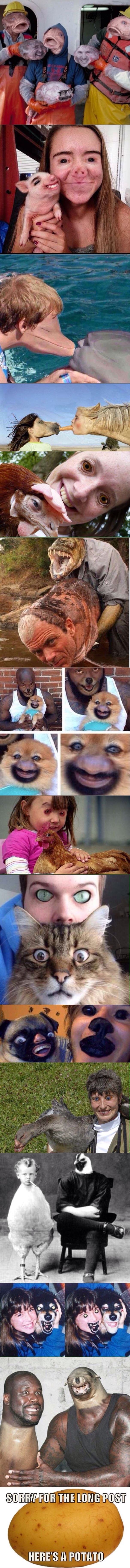 Face swaps