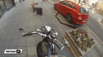 The Litter Avenger