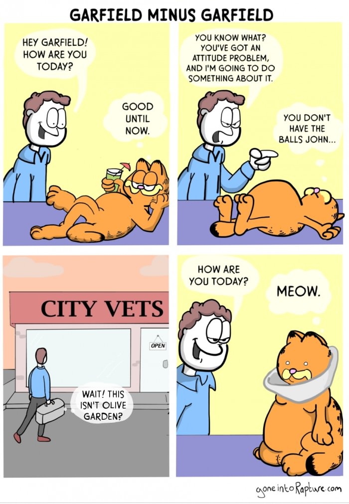 Garfield minus Garfield