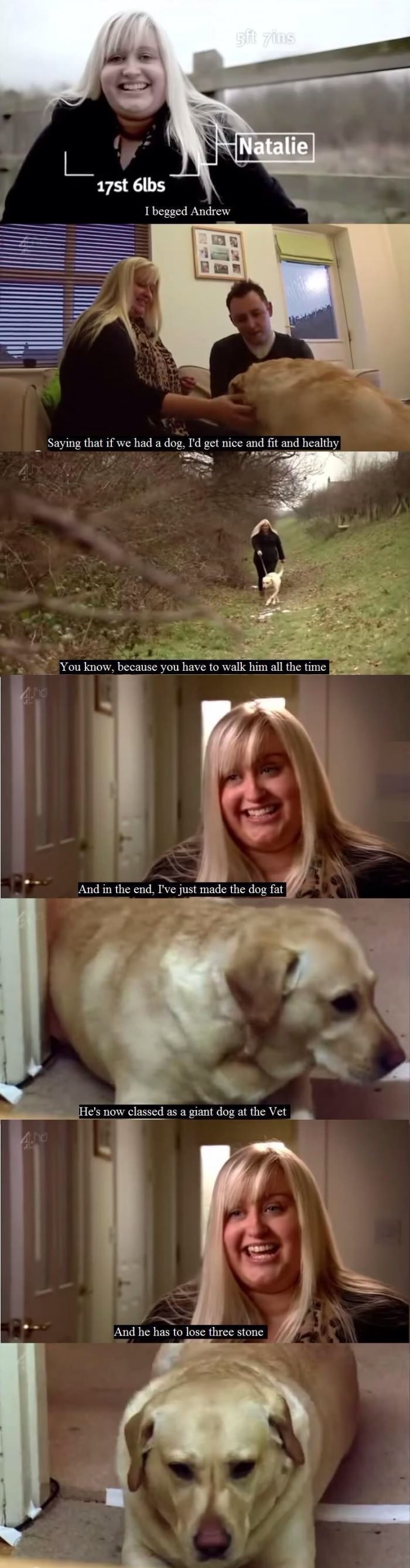 Poor dog