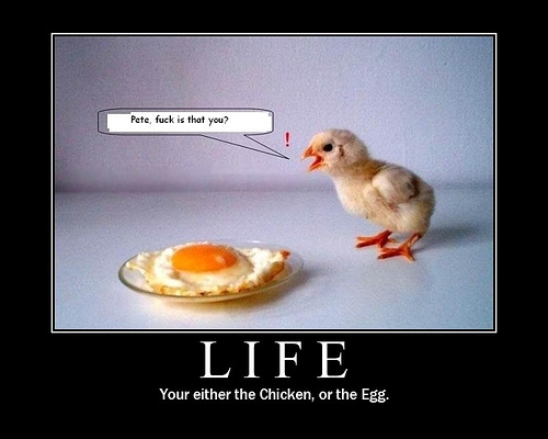 Life
