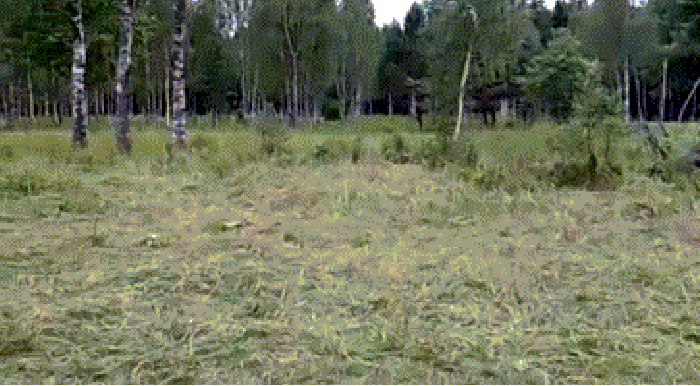 Military camouflage