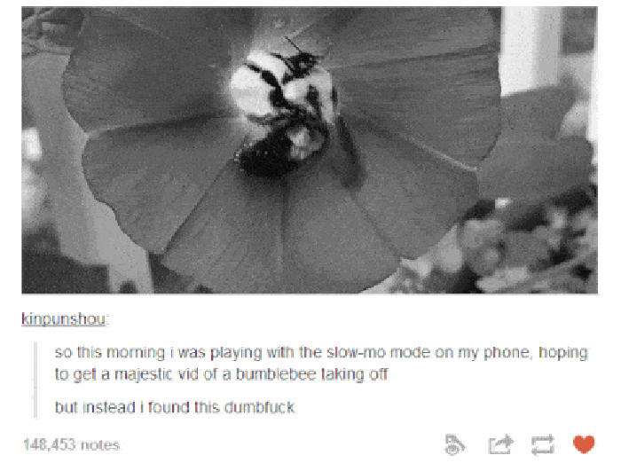 Majestic bumblebee