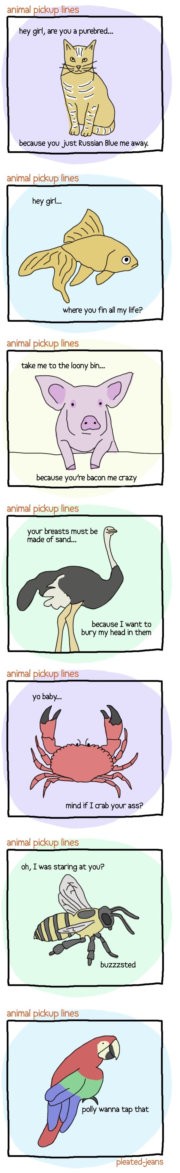 Animal pick up lines