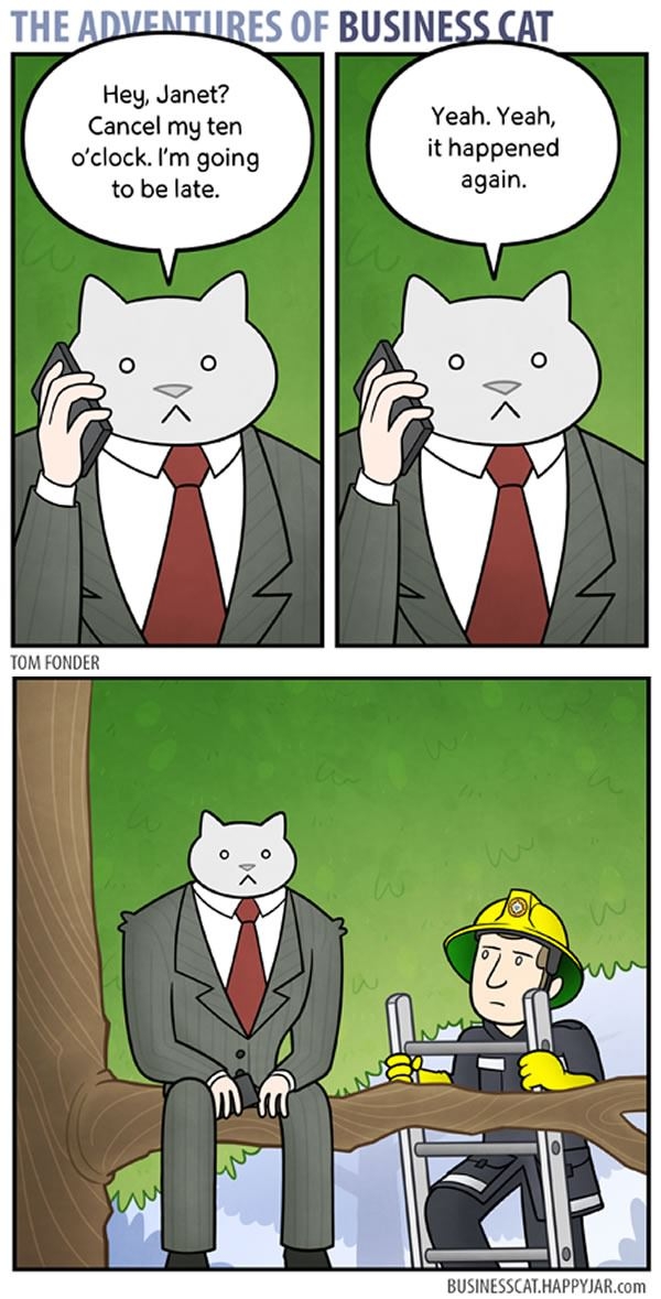 Business cat