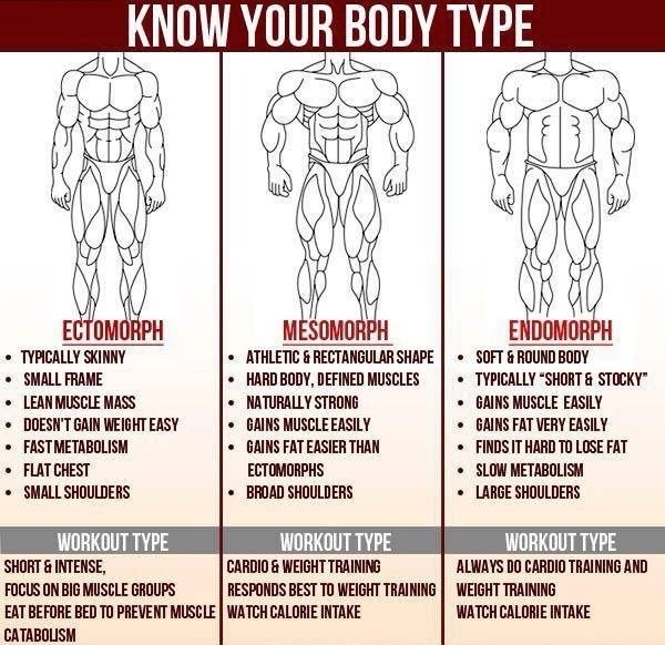 Know your body type