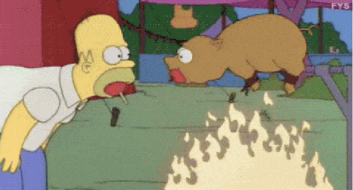 Perfect Homer gif