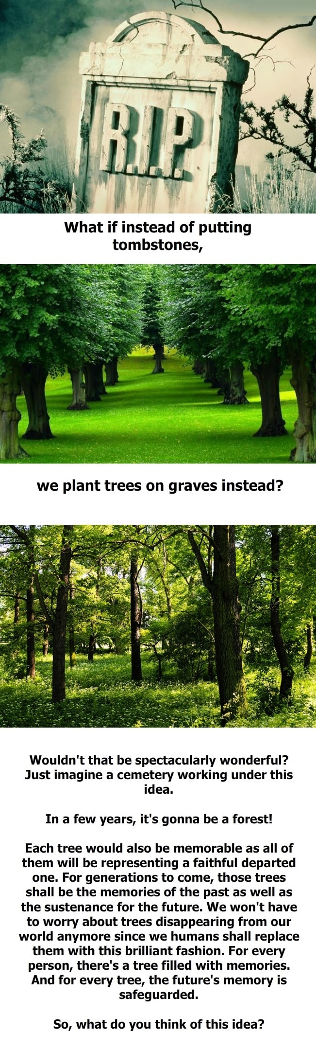 Plant trees on graves