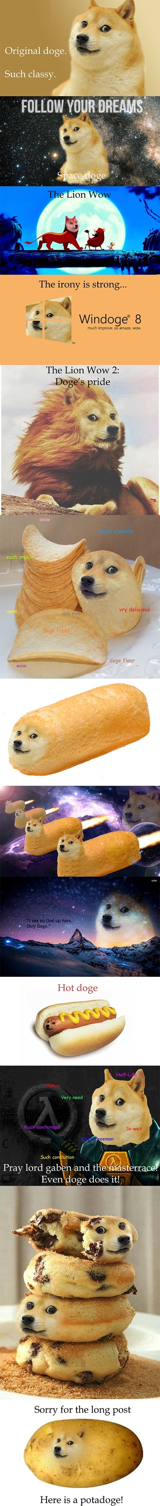 Doge at its finest!