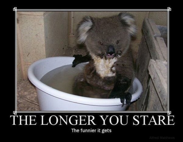 Keep staring