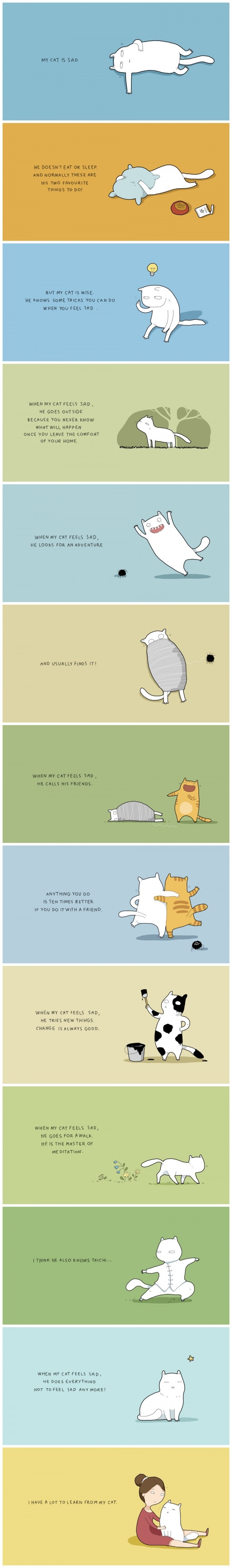 When my cat feels sad