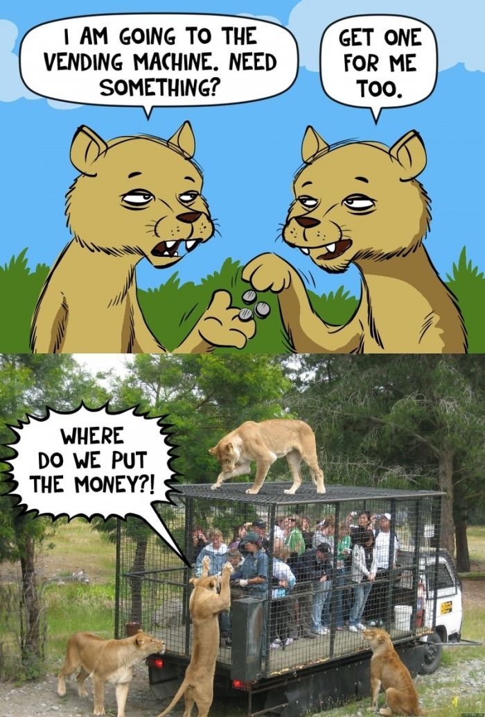 Where do we put the money