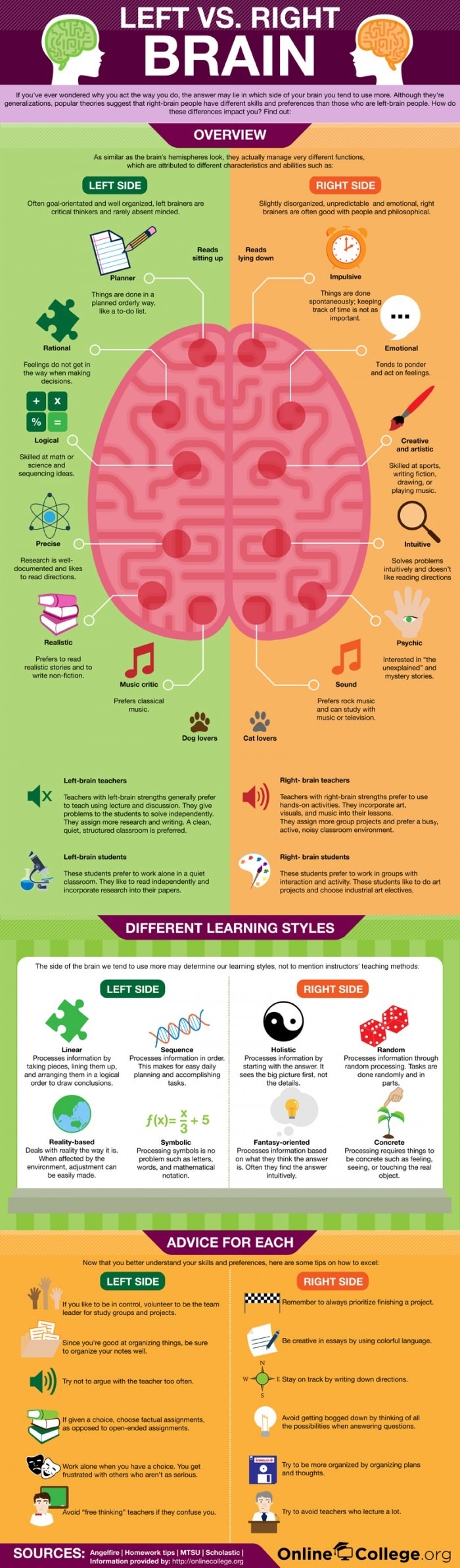 Left vs right brain