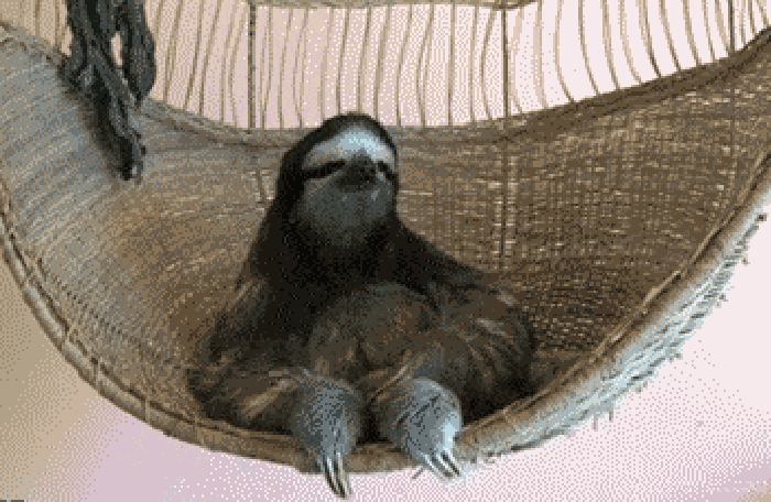 This gif changed my life