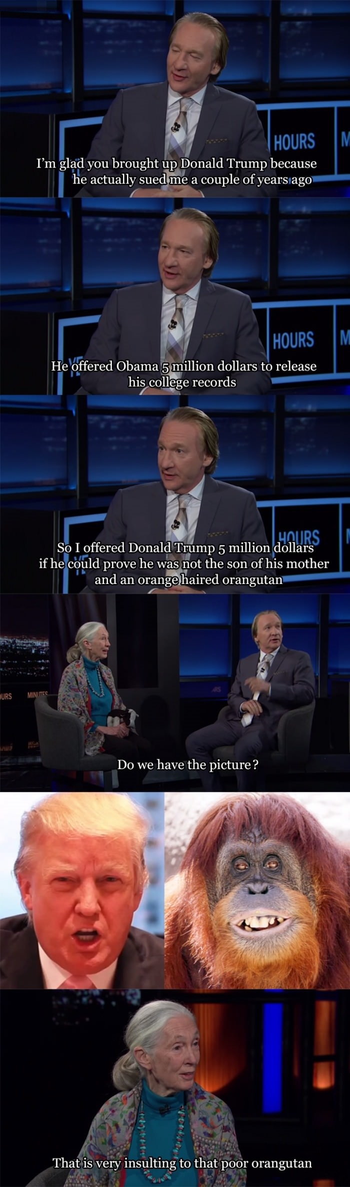 Insulting to the orangutan