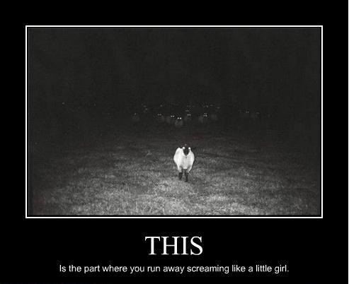 Run?