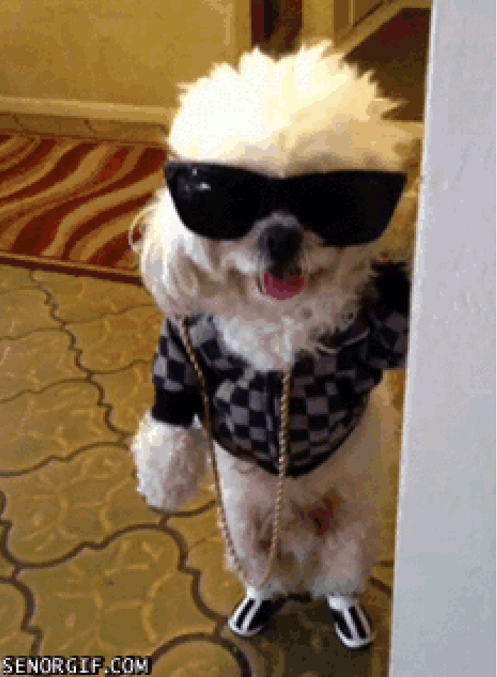 He just wants to party
