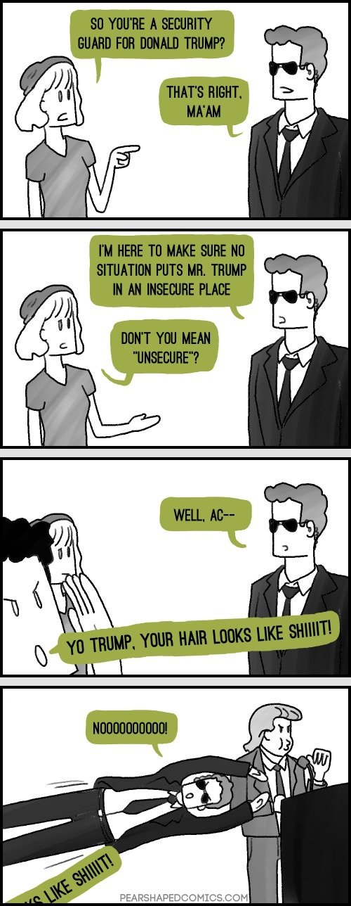 Donald Trump's security