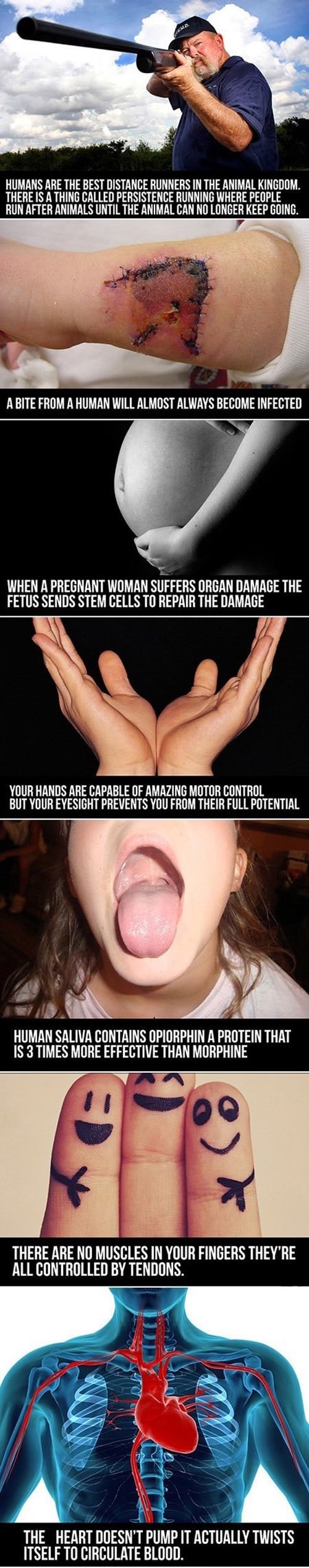 Human body facts