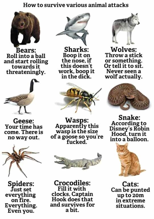 Surviving animal attacks