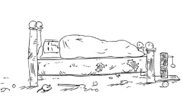 Cats are jerks