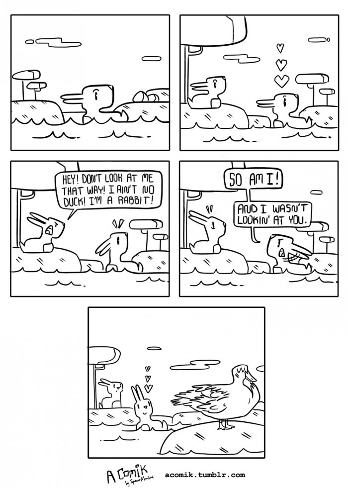 If it looks like a duck