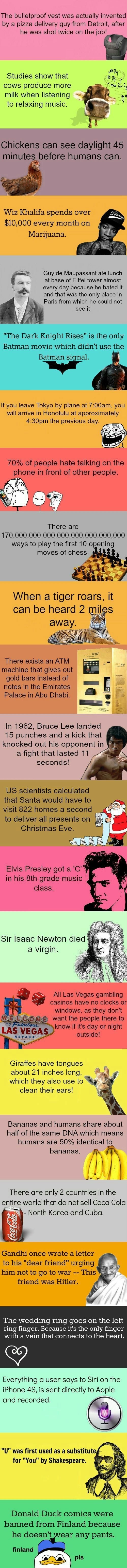 Interesting facts