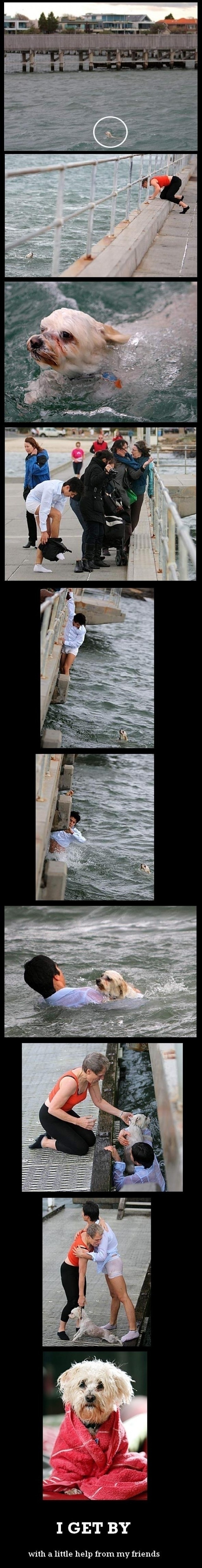 Humanity