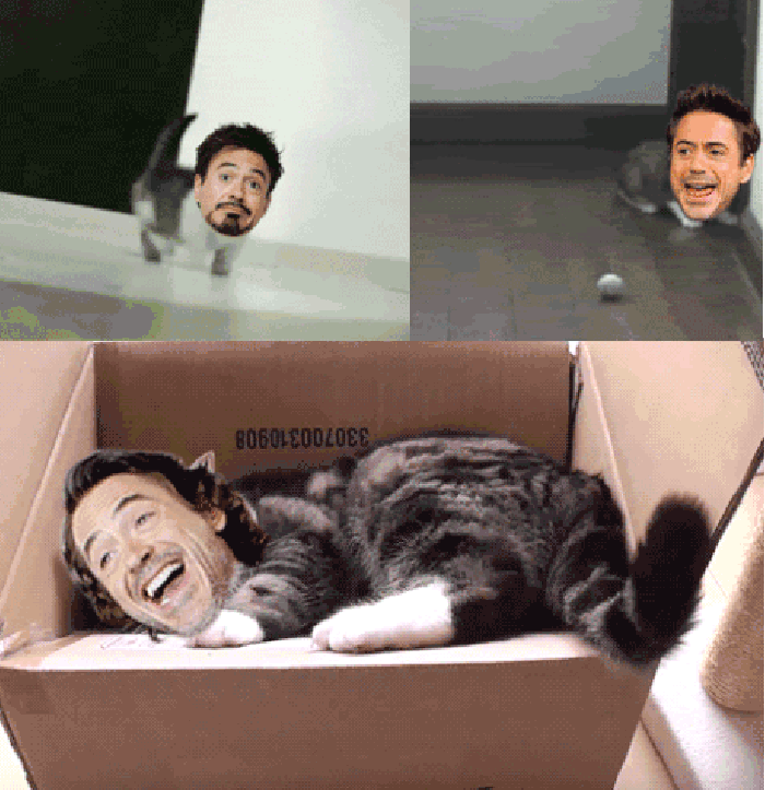 Robert Meowney Jr.
