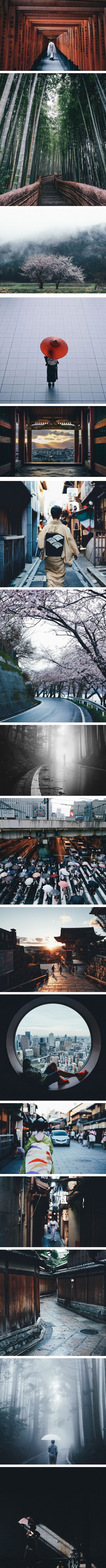 Beauty of life in Japan